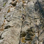 頑張った知選手 頑張った知選手