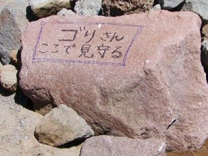 見守る　ゴリ　さん