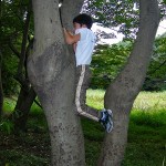 初めての木登り5021