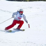 シェーレンが無い素晴らしい同時操作