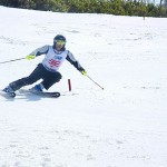 スキーが縦に走っています