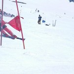 太くて写真をはみ出しました。クリックして見て下さい