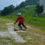 ポールプラントも出来るようになりました