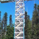 後ろ向きに発挑戦のキャッチャーは大成功