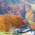 美しい紅葉、温泉、そしてプラスノー