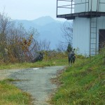 鹿は白いの！黒いのは熊！