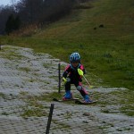 ポールプラントの準備