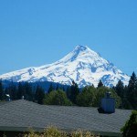 今年で２０年目になるアメリカキャンプ