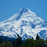 アメリカの友人も皆、心配してくれています