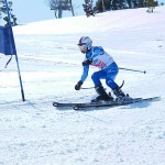 イスが必要ですか? イスが必要ですか?