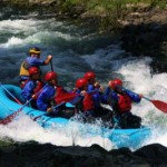 まだ余裕の面々