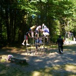 ジャングルジムも判断力と機敏性のトレーニング場になっています