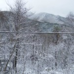 美しいな～♪　雪化粧は‥！