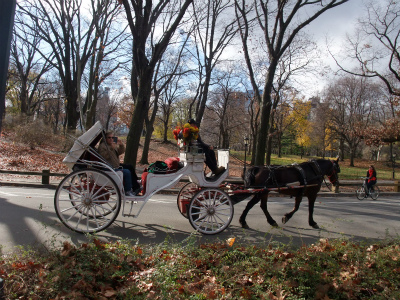 NYマラソンの試走をセントラルパークで‥ NYマラソンの試走をセントラルパークで‥