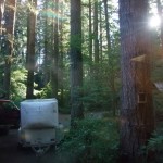 朝日が輝くクリアクリークロッヂ