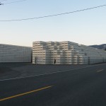 昨年に引続き、フッドリバーのリンゴ箱　中央がやせて見える眞理子さん