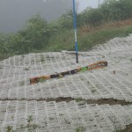 アレッ？片足スキーの練習中？