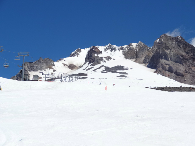 見上げれば「紺碧の青空」 見上げれば「紺碧の青空」