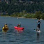 皆で楽しそう！次はブラックベリーを取りに行こうよ！