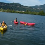 あれ？誰か落ちている。又　タカ？