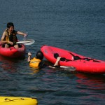 この後ろ姿は？