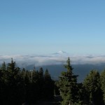 ティンバーライン限界の森林とMt,Jefferson