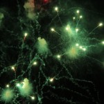 エイリアン襲来？