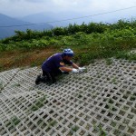 ハッシーもありがとう！茎の太いのも除去してくれています