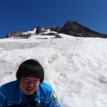 アップ写真 アップ写真