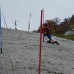 失敗例…足が揃ってのシェーレン型