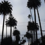 ビバリーヒルズで世界的スターの豪邸を…