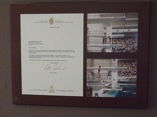 高飛び込みの勇士 高飛び込みの勇士