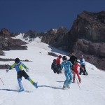 誰？犬の小便なんて思っている人は？