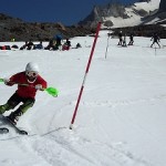 高い姿勢を習得中