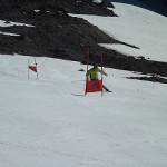 国体選手の見事な滑り◎