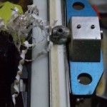 ボーダーを斜めにカットするのが大切！